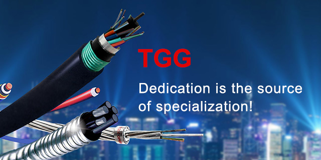 TGG—Dedication is the source of specialization!